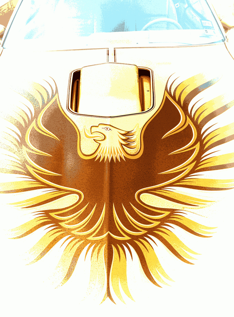 Illustration for article titled Cars and Coffee Austin 6/8 PHOTO DUMP